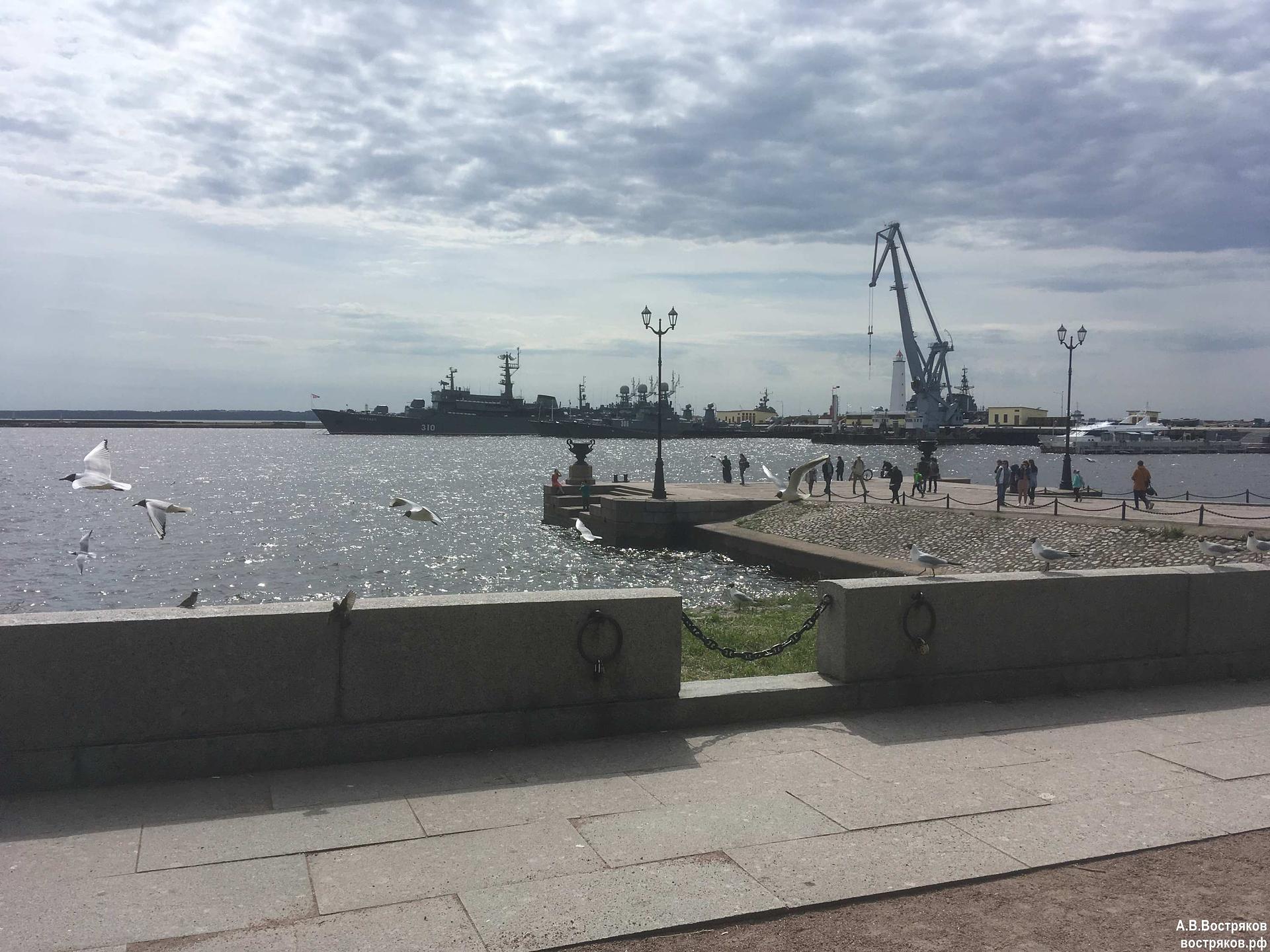 Большое путешествие в Кронштадт на метеоре